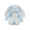 mm060ted/bl-u